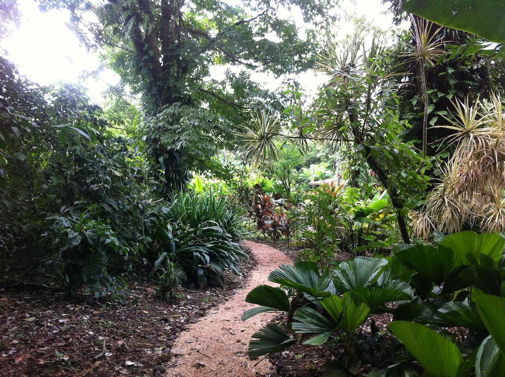Finca Verde Lodge Bijagua Exterior photo