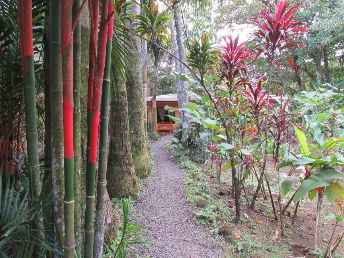 Finca Verde Lodge Bijagua Exterior photo