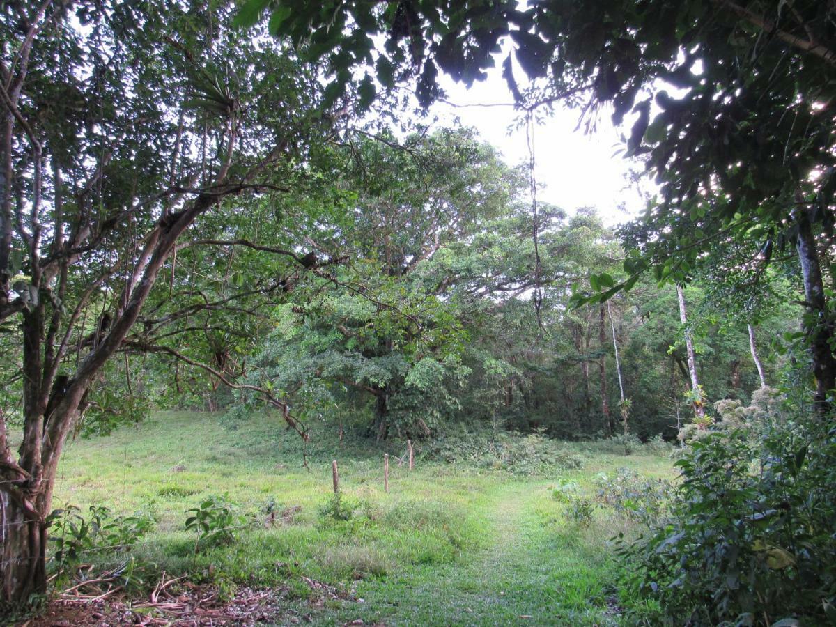 Finca Verde Lodge Bijagua Exterior photo