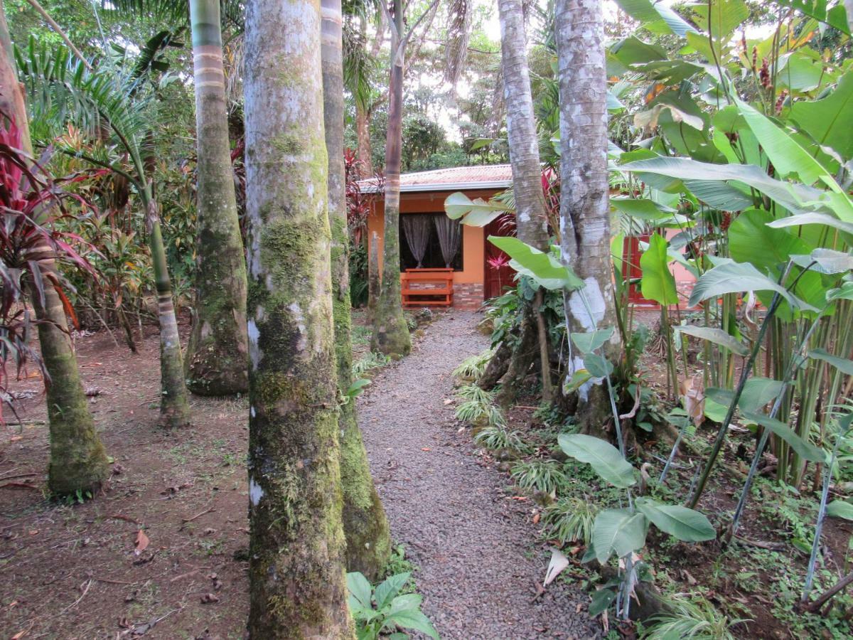 Finca Verde Lodge Bijagua Exterior photo