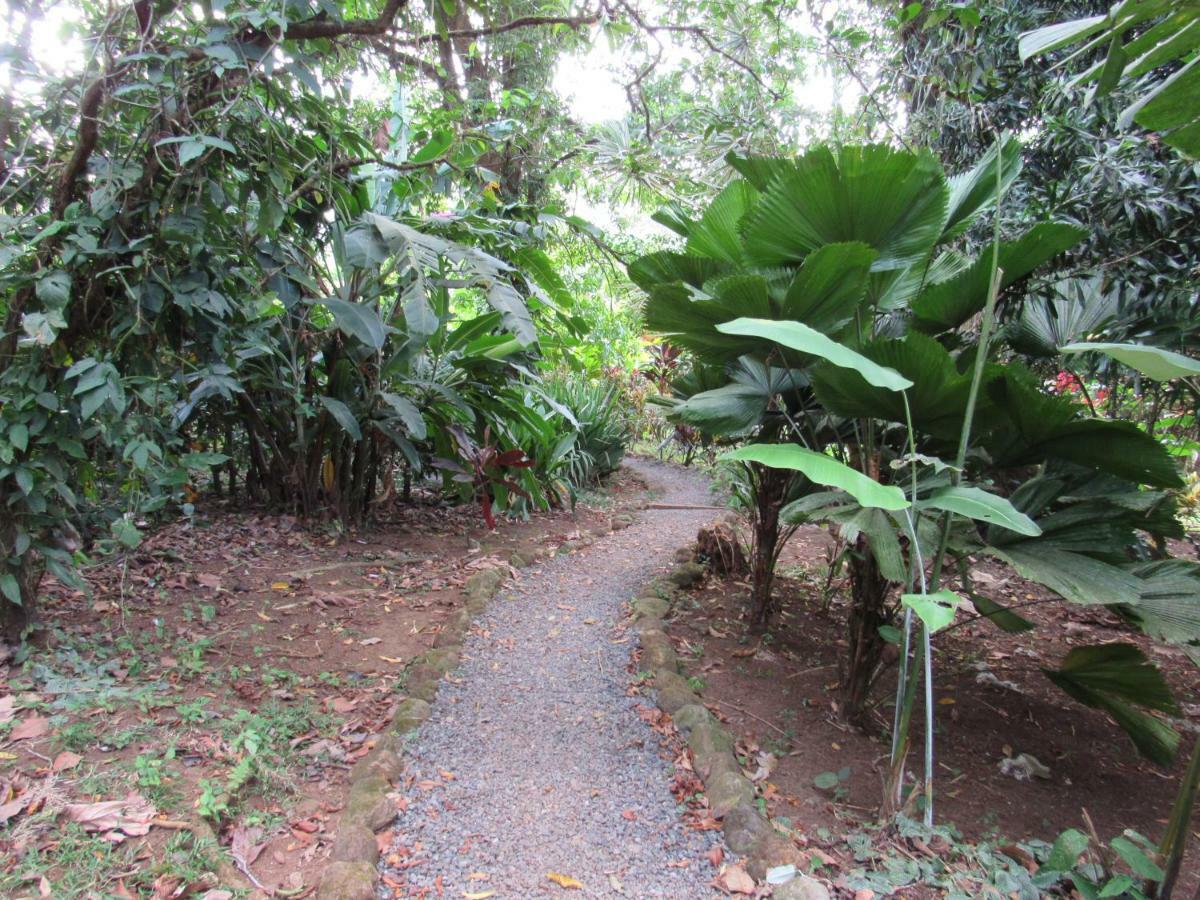 Finca Verde Lodge Bijagua Exterior photo
